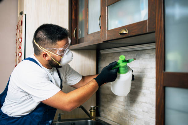 Flea Control Services in Everett, PA