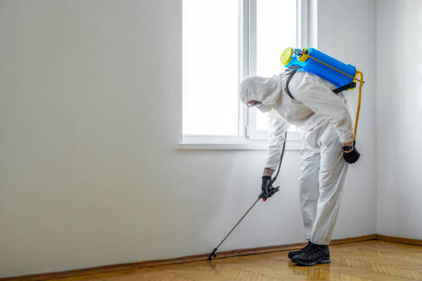 Best Pest Prevention Services  in Everett, PA