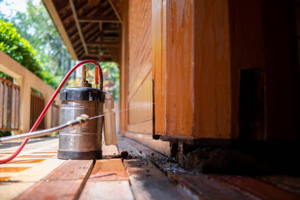 Best Termite Control Services  in Everett, PA
